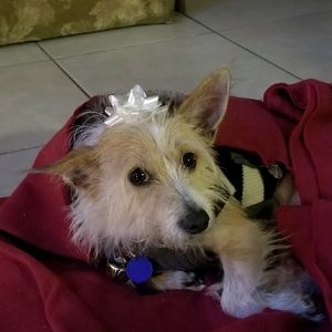 Meet your Posher, Lisbeth